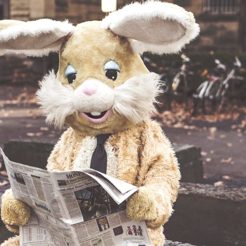 Online cursus | Zo kom je in de pers met je zaak 📰