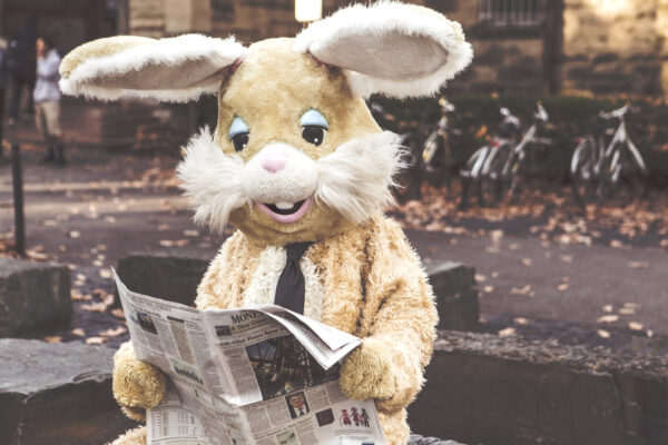 Online cursus | Zo kom je in de pers met je zaak 📰